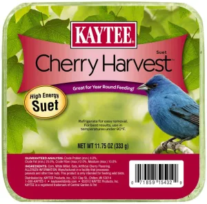 Kaytee Cherry Harvest High Energy Suet - 11.75 Oz